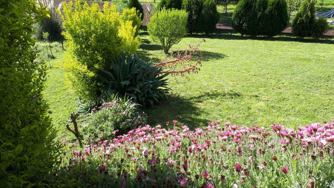 Quinta De Reiriz Apartment Moncao Exterior photo